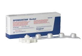 Spongostan Sponge, White